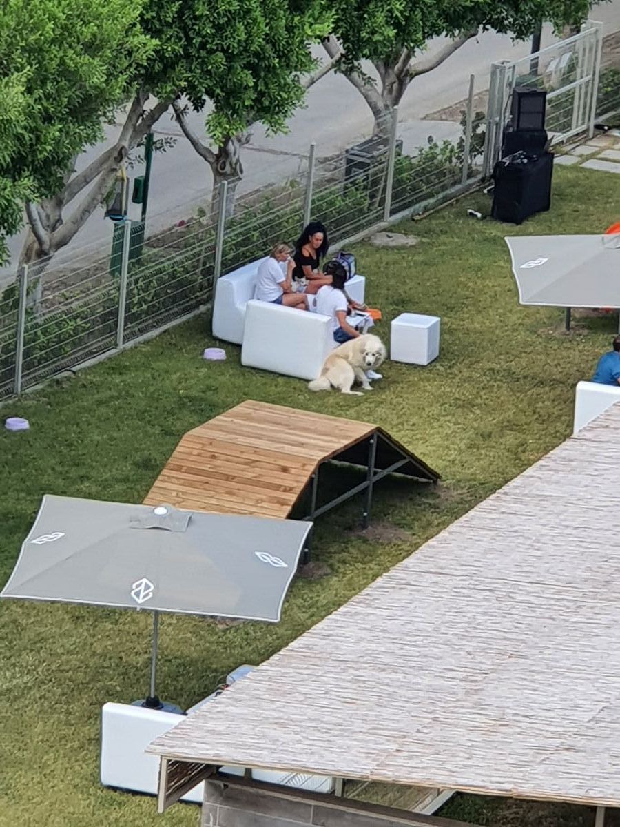 imagini hotel NIRVANA LARA